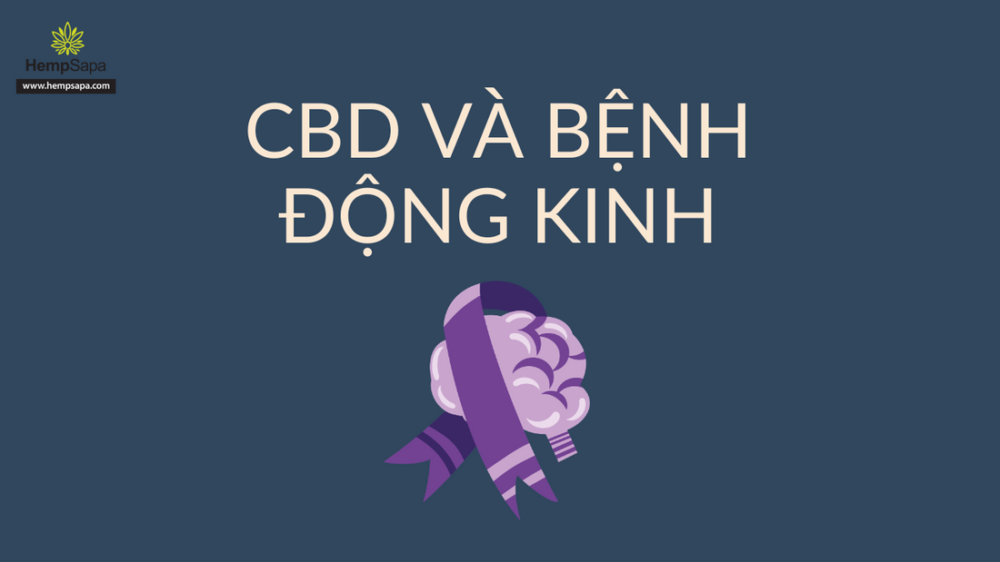 CBD và bệnh động kinh