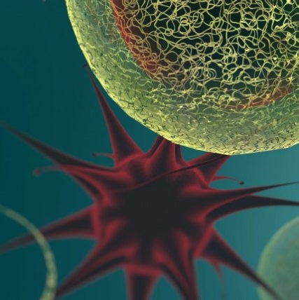 CBD and the psychedelic receptor