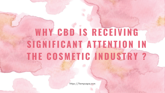 Why CBD is receiving significant attention in the cosmetic industry ?