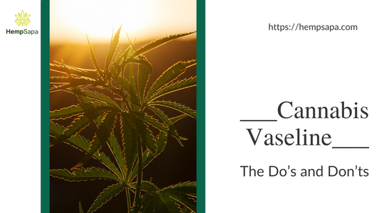 CANNABIS VASELINE – The Do’s and Don’ts