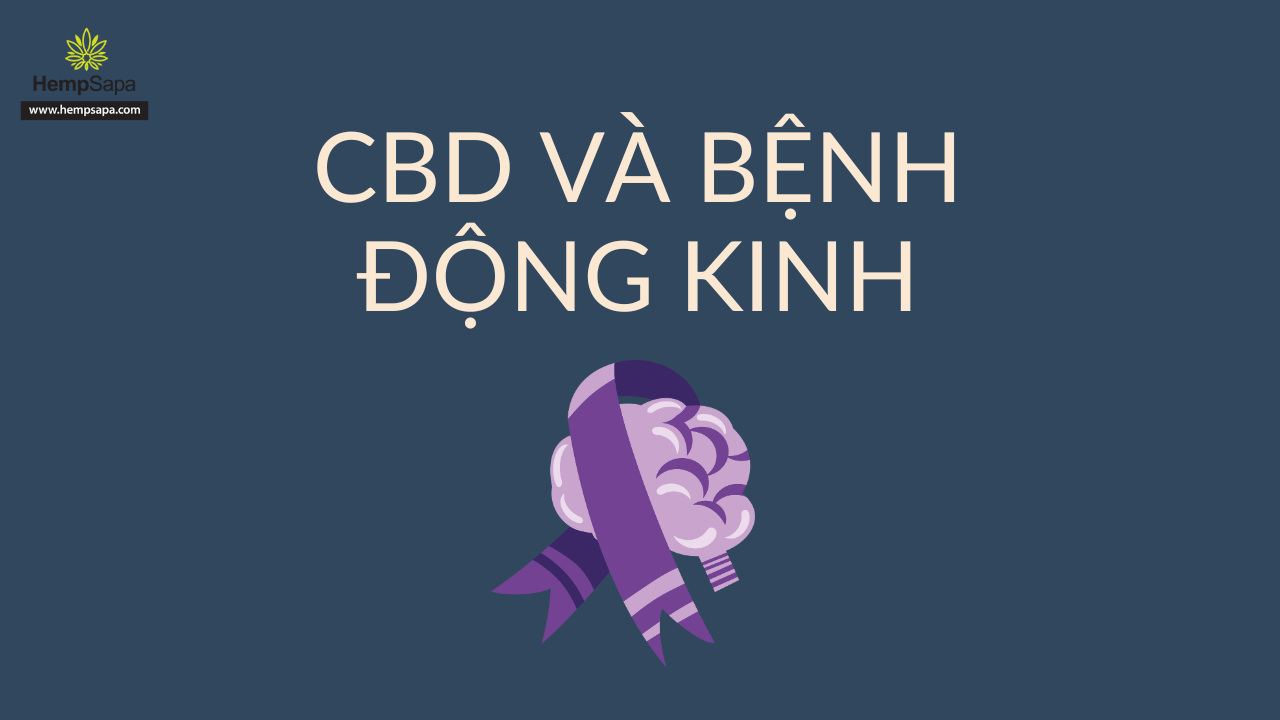 CBD và bệnh động kinh – CBD Specialist HempSapa®