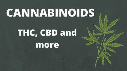 Cannabinoids - THC, CBD and more