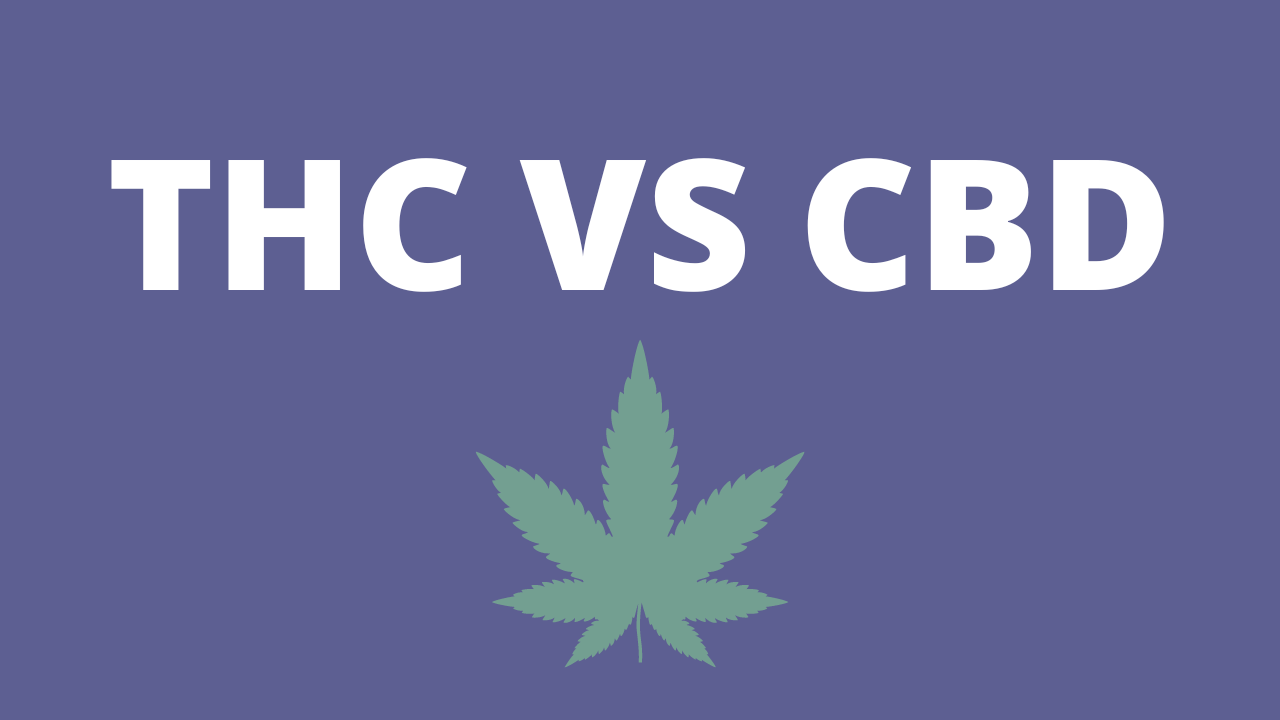 THC Vs CBD: What's The Difference? – CBD Specialist HempSapa®